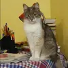 Отзыв от Анфиса Успенская
